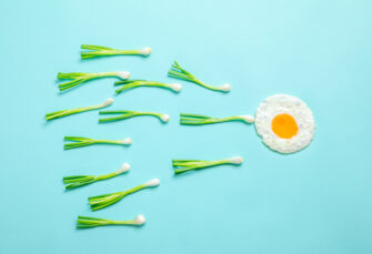 Best Foods to Increase Sperm Counts and Boost Male Fertility