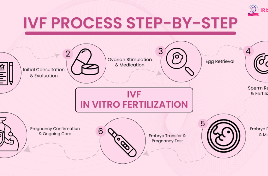 IVF Process step by step